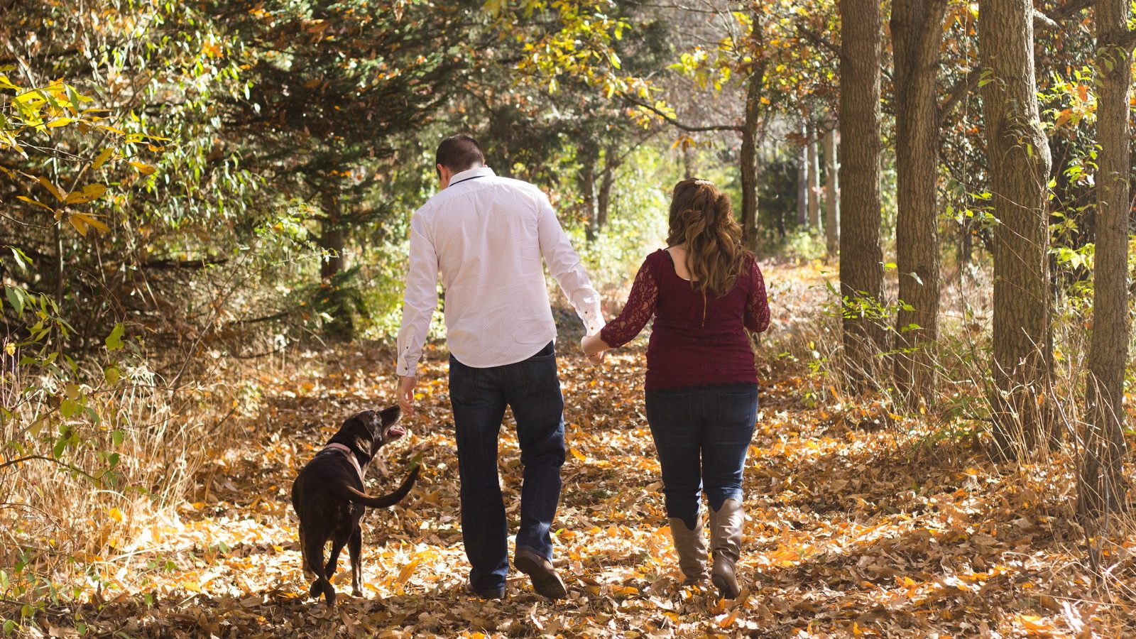Ein Paar geht Hand in Hand durch einen Herbstwald, ein Hund läuft nebenher